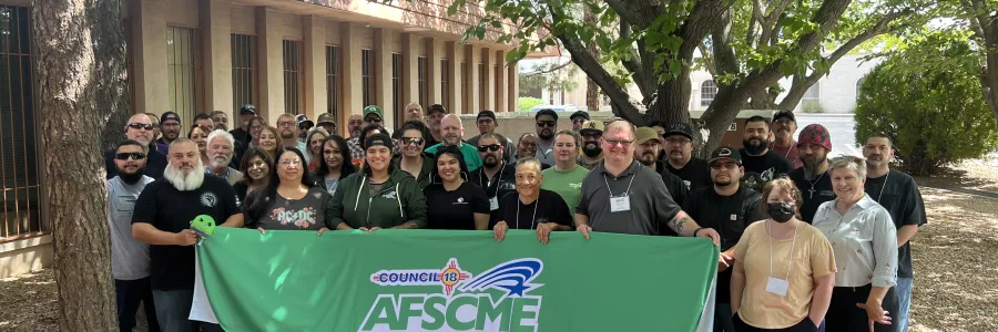 New Mexico Council 18